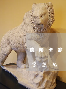 信用卡逾期全款處理(所有的貸款信用卡逾期了怎么辦)