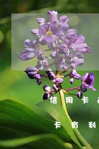 信用卡逾期全款還可以少利息嗎 全款還信用卡有利息嗎