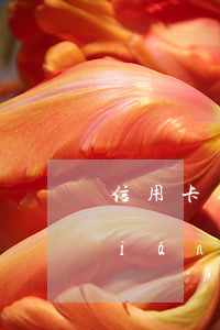 信用卡逾期全款還清之后(信用卡逾期強(qiáng)制歸還全款后可以用嗎)