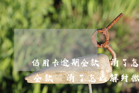 信用卡逾期全款還清了怎么解封(信用卡逾期全款還清了怎么解封微信)