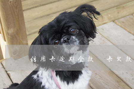 信用卡逾期全款銷卡(欠款的信用卡可以注銷嗎)