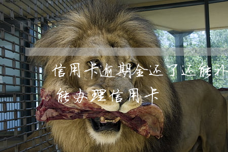 信用卡逾期全还了还能补卡吗(逾期已结清还能办理信用卡)