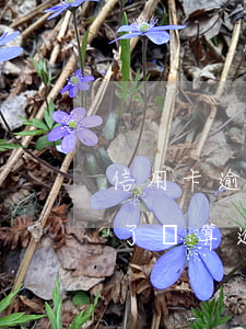 信用卡逾期全部償還-把信用卡最低還款還了還算逾期嗎
