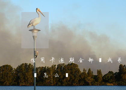 信用卡逾期全部變成呆賬(信用卡逾期變成呆賬怎么辦)