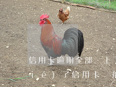 信用卡逾期全部還上了能解凍嗎-凍結(jié)了信用卡還能解凍嗎