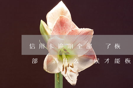 信用卡逾期全部還了恢復(信用卡逾期已經全部還清什么時候才能恢復)