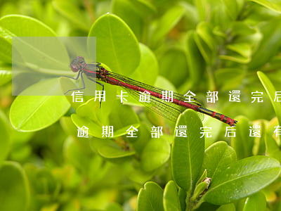 信用卡逾期全部還完后還有違約金-信用卡逾期全部還完后還有違約金嗎