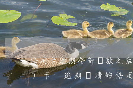 信用卡逾期全部還款之后怎么申請復(fù)卡-逾期還清的信用卡怎么去激活