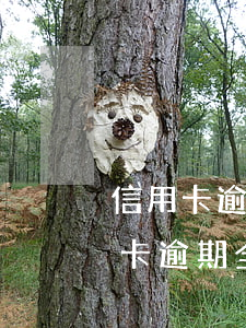 信用卡逾期全額還款可以減免利息嗎-信用卡逾期全額還款可以減免利息嗎