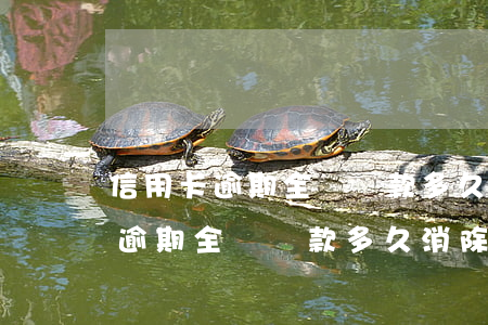 信用卡逾期全額還款多久消除記錄-信用卡逾期全額還款多久消除記錄啊