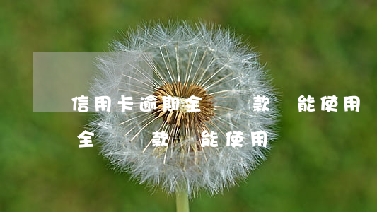 信用卡逾期全額還款還能使用嗎(信用卡逾期全額還款還能使用嗎嗎)