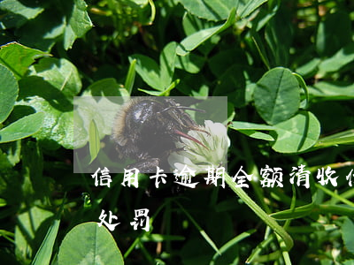 信用卡逾期全额清收什么意思(逾期清卡怎么处罚)