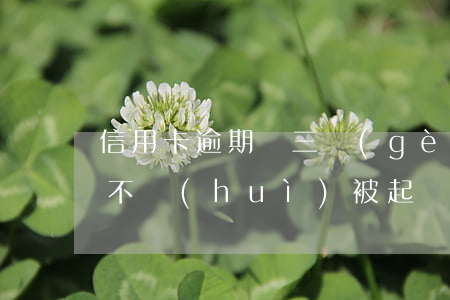 信用卡逾期兩三個(gè)月會(huì)不會(huì)被起訴-信用卡逾期兩三個(gè)月會(huì)不會(huì)被起訴呢
