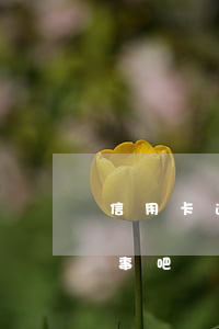 信用卡逾期兩三天要緊嗎(信用卡逾期3天沒事吧)
