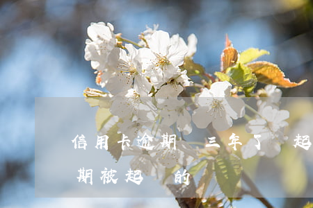 信用卡逾期兩三年了沒起訴(有沒有信用卡逾期被起訴的)
