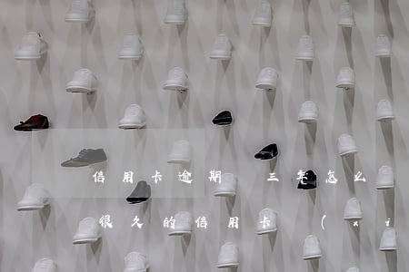 信用卡逾期兩三年怎么協(xié)商(逾期很久的信用卡協(xié)商)