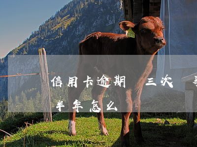 信用卡逾期兩三次沒事兒吧(信用卡3萬逾期半年怎么辦)