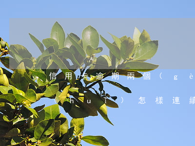 信用卡逾期兩個(gè)小時(shí)會(huì)怎樣(連續(xù)兩個(gè)月信用卡逾期)