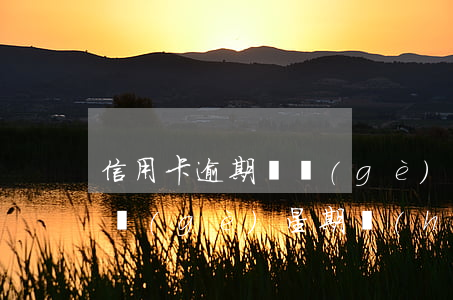 信用卡逾期兩個(gè)星期 信用卡逾期兩個(gè)星期會(huì)上征信嗎