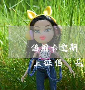 信用卡逾期兩個(gè)星期會(huì)上征信嗎花唄（信用卡逾期兩個(gè)星期會(huì)上征信嗎）