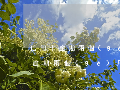 信用卡逾期兩個(gè)月7000(信用卡逾期兩個(gè)月會不會被起訴)