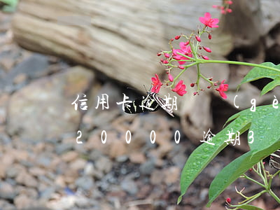 信用卡逾期兩個(gè)月了怎么辦(信用卡20000逾期3個(gè)月了)