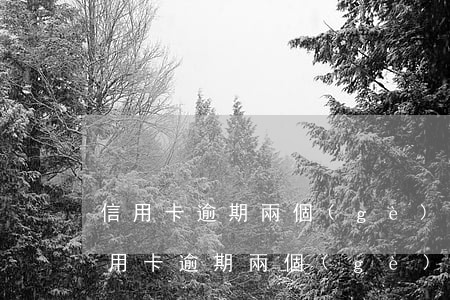 信用卡逾期兩個(gè)月利息5000(信用卡逾期兩個(gè)月利息多少)