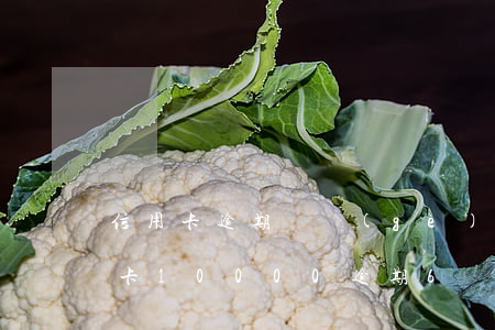 信用卡逾期兩個(gè)月就起訴我-信用卡10000逾期6個(gè)月現(xiàn)在是起訴狀態(tài)怎辦