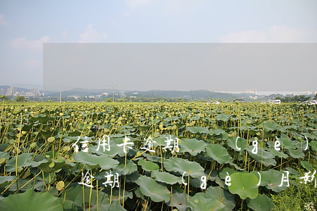 信用卡逾期兩個(gè)月影響征信(信用卡逾期兩個(gè)月影響征信)