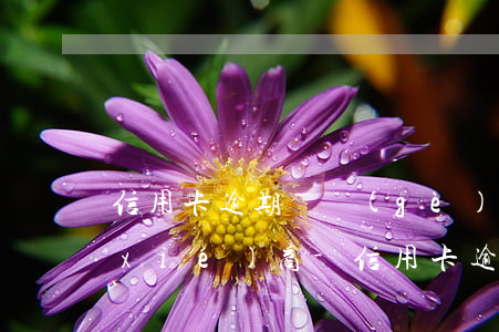 信用卡逾期兩個(gè)月怎么跟銀行協(xié)商-信用卡逾期兩個(gè)月怎么跟銀行協(xié)商解決