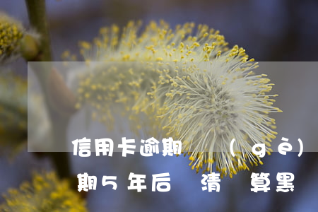 信用卡逾期兩個(gè)月是黑戶(信用卡逾期5年后還清 還算黑戶嗎?)