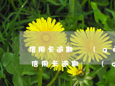 信用卡逾期兩個(gè)月會有什么后果-信用卡逾期兩個(gè)月會有什么后果呢
