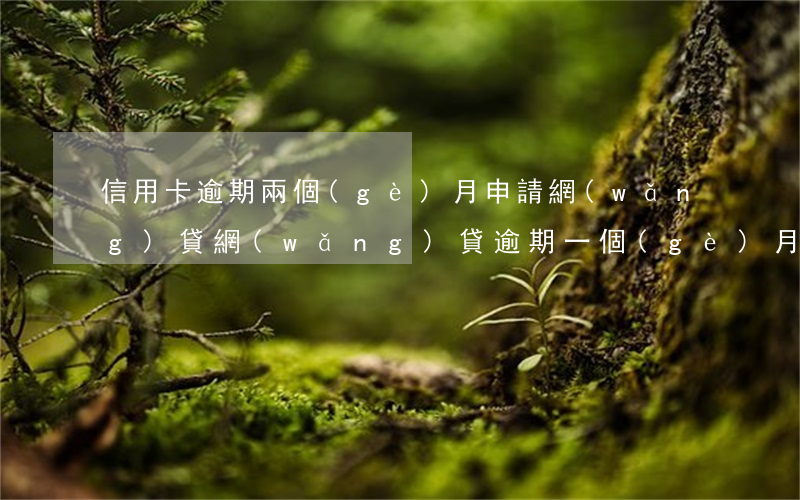 信用卡逾期兩個(gè)月申請網(wǎng)貸(網(wǎng)貸逾期一個(gè)月能辦信用卡嗎)