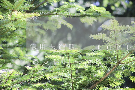 信用卡逾期兩個(gè)月發(fā)短信透支(信用卡逾期兩個(gè)月發(fā)短信透支是真的嗎)