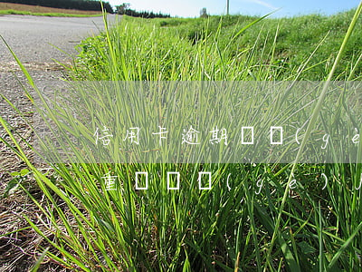 信用卡逾期兩個(gè)月算嚴(yán)重嗎(兩個(gè)月信用卡逾期不還有什么結(jié)果)