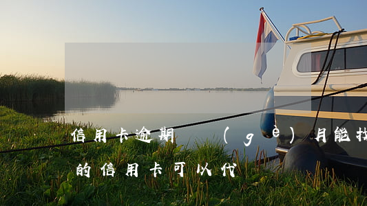 信用卡逾期兩個(gè)月能找代還嗎(逾期的信用卡可以代還嗎)