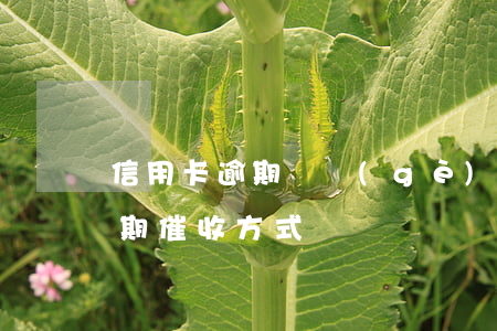 信用卡逾期兩個(gè)月被催收(信用卡逾期催收方式)