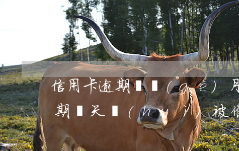 信用卡逾期兩個(gè)月被催收(信用卡逾期幾天會(huì)被催收)