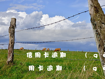 信用卡逾期兩個(gè)月被起訴怎么辦(信用卡逾期幾個(gè)月被起訴了怎么辦)