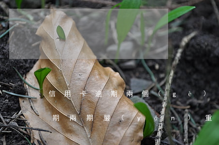 信用卡逾期兩個(gè)月要緊嗎(信用卡逾期兩期嚴(yán)重嗎)