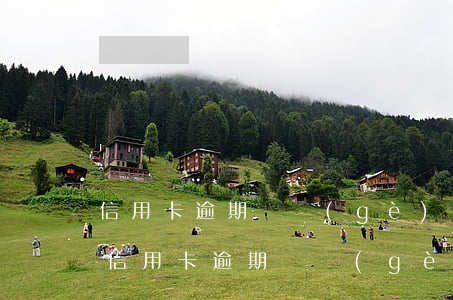 信用卡逾期兩個(gè)月記錄怎么消除-信用卡逾期兩個(gè)月記錄怎么消除掉