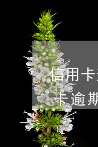 信用卡逾期兩個(gè)月說起訴我(我信用卡逾期了)