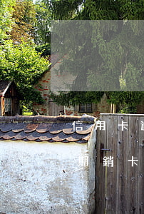 信用卡逾期兩個(gè)月讓銷卡(信用卡逾期銷卡后多久可以再申請(qǐng))