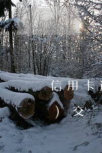 信用卡逾期兩個(gè)月轉(zhuǎn)交風(fēng)險(xiǎn)管理部-信用卡逾期兩個(gè)月轉(zhuǎn)交風(fēng)險(xiǎn)管理部門怎么辦