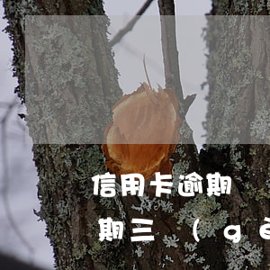 信用卡逾期兩個(gè)月還了可以用嗎(逾期三個(gè)月信用卡還能用嗎)