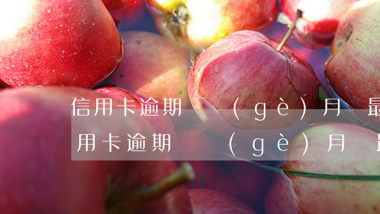 信用卡逾期兩個(gè)月還最低可以嗎(信用卡逾期兩個(gè)月還最低可以嗎)
