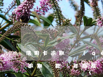 信用卡逾期兩個(gè)月還款還能使用么(逾期還款兩年后能辦信用卡嗎)