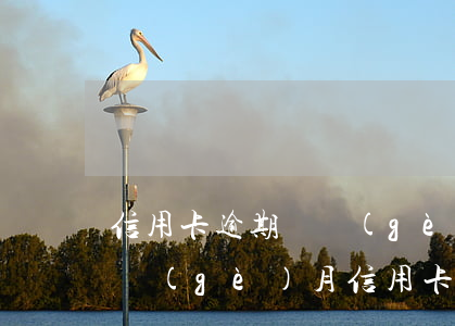 信用卡逾期兩個(gè)月還能用么(逾期兩個(gè)月信用卡還能用嗎)