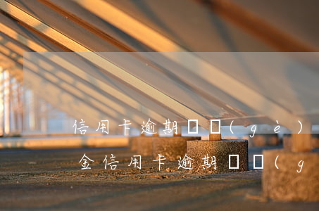 信用卡逾期兩個(gè)月還能透支嗎還本金（信用卡逾期兩個(gè)月還能透支嗎）