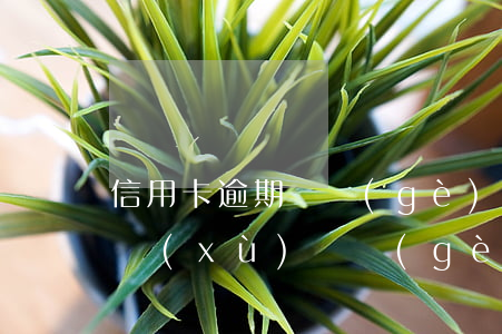 信用卡逾期兩個(gè)月零七天(信用卡連續(xù)兩個(gè)月逾期一天)